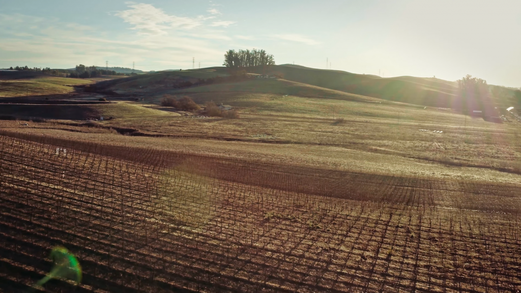 The Calling Wine Still 3 A scenic view of a rural landscape with rolling hills, fields, and a cluster of trees on a hilltop.
