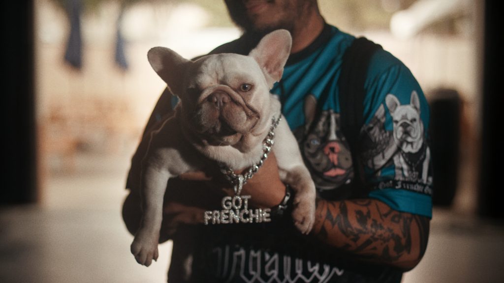 CUSTOMER TESTIMONIAL - STILL 6